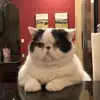 Bailey Barnett - @baileybarnettlove - TikTok