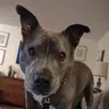 Bailey Barr - @b.barr - TikTok