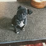 Bailey Barton - @baileybark - Instagram