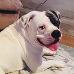 Bailey batson - @baileybatson - Instagram