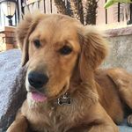 @bailey_baugh_ - Instagram