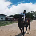 Bailey Beal - @happyymemoriess - Instagram