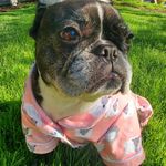 Bailey - @_bailey_bean_ - Instagram
