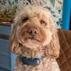 Bailey👍🏻 - @baileybeans._ - TikTok