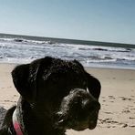 Bailey Bean - Facebook