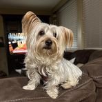 Bailey Bean - Facebook