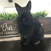 Bailey Bean - @bailey.bean - TikTok