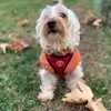 Bailey Bean - @mikineily - TikTok