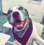 Bailey Bean - Facebook