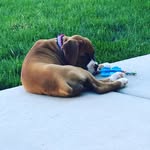 Bailey Bean Reasoner - @baileyreasoner - Instagram