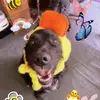 baileybeanss - @baileybeanss - TikTok