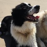 Bailey Beardsley - @baileybeardsley - Instagram