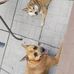 Bailey Beauchamp - Facebook