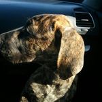 Bailey Beauchamp - @beauchamp.bailey - Instagram