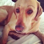 Bailey - @baileybeavers26 - Instagram