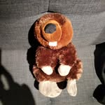 Bailey the Beaver - @baileythebeaver00 - Instagram