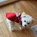 Bailey Becker - Facebook