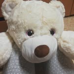 Janči Bailey Becher & Friends - @divnedetizbs - Instagram