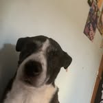 Bailey Bedford - @piercethe_rem - Instagram