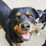Beebee - @beebee.bailey - Instagram