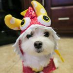 Beebeebailey - @beebeebailey - Instagram