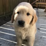 Bailey Beecher - @boatingbaileybeecher - Instagram