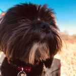 Bailey_Beer - @bailey_beer_ - Instagram
