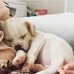 Bailey Beer - @baileybeer_ox - Instagram
