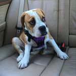 Bailey Benitez-Forsyth - @baileybenitezforsyth - Instagram