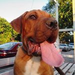 Bailey Benitez Vázquez - @bailey25_05 - Instagram