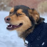 BAILEY + BENTLEY - @bailey_ox_ - Instagram