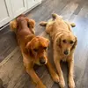 B&B - @bailey.bentley - TikTok