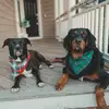 Bentley & Bailey - @bentleyandbailey - TikTok