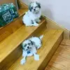 Jack diorio - @_bailey.bentley_ - TikTok