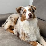@bailey.berger_australien_ - Instagram