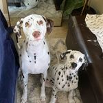 Bailey & Berlin - @baileyandberlin - Instagram