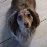 Bailey Berman🐶 - @baeberm - Instagram