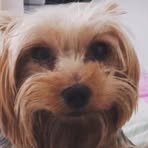 Bailey Bernabe - Facebook