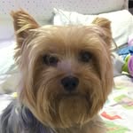 Bailey Bernabe - @balieyb1259 - Instagram
