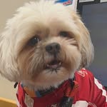 Bailey Rye Bernabe Acosta - @baileycutiepattotiebells - Instagram