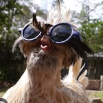 Bailey Bernhardt - @baileybernhardt - Instagram