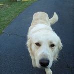 Bailey Berrigan - Facebook
