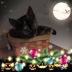 Billie Pegarsch - Facebook