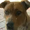 Rube cube - @bailey.bickers - TikTok