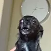 bailey biggs - @bailey.buggs - TikTok