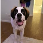 bailey billingsly - @baileybillingsly - Instagram