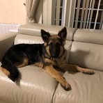 Bailey Birch - Facebook