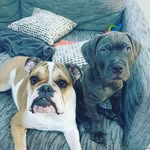 Bailey & Bishop Narayan - @baileybishopnarayan - Instagram