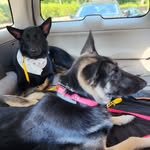 Bailey_Bishop_Saint - @bailey_bishop_saint - Instagram