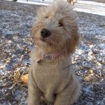 Bailey - @baileybitnerbush - Instagram